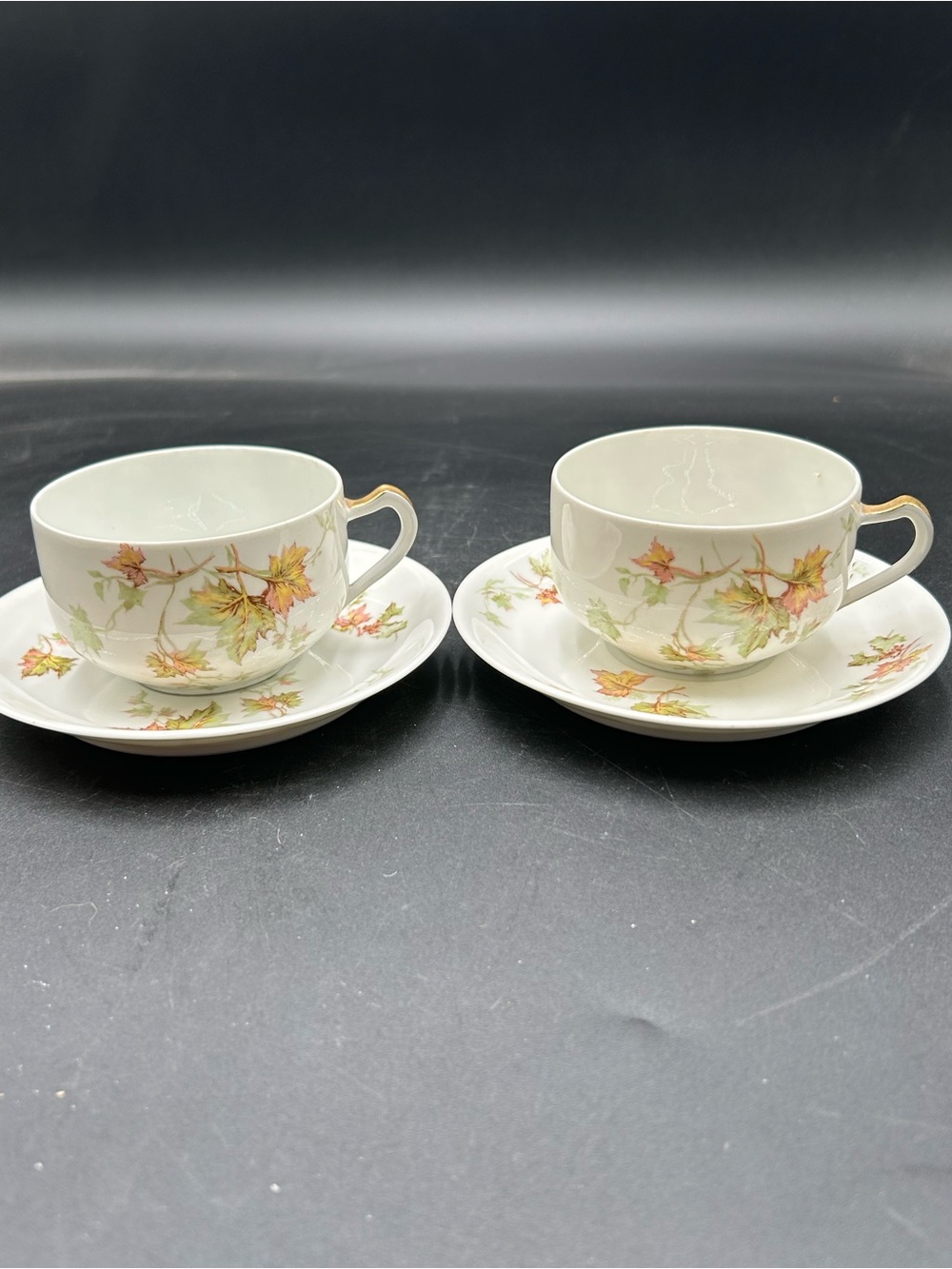 Fine Porcelain Haviland Limoges Teacup & Saucer Set - White with Autumn Leaves